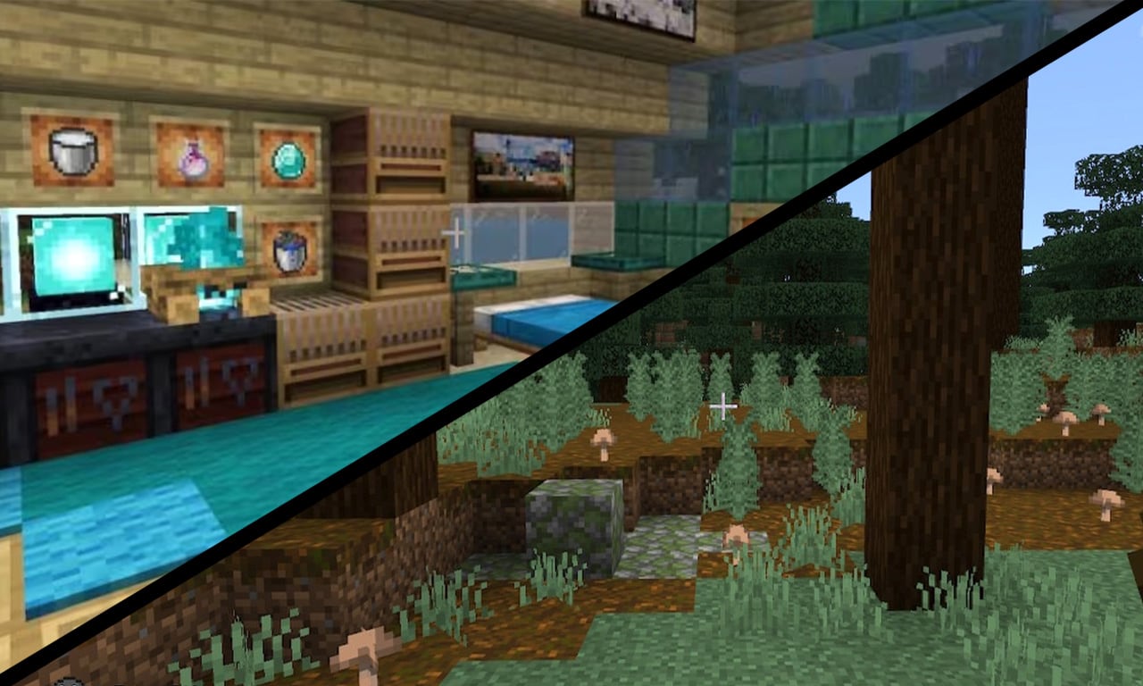 A split image shows two scenes, with a detailed house interior on the left and a wild forest on the right